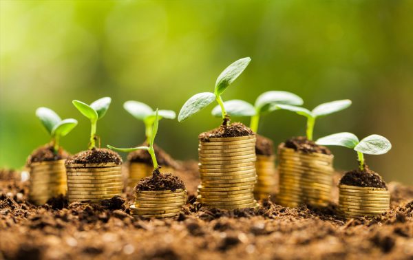 The working capital you need for your franchise
