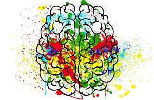 Brain drawing with colors
