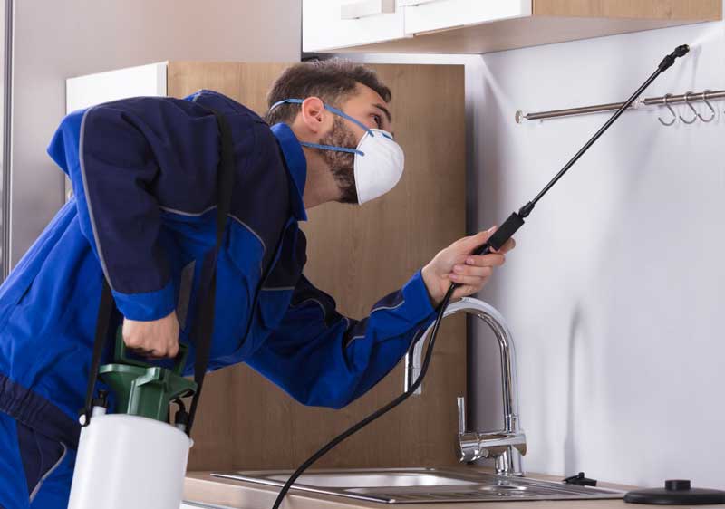 Man spraying beneath a cabinet during a pest inspection.