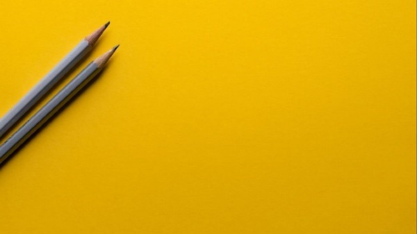 Developing Leadership Within the Organization: A Strategic Investment